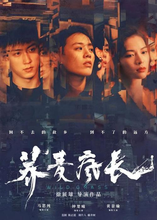 怎么购买VIC驾驶证